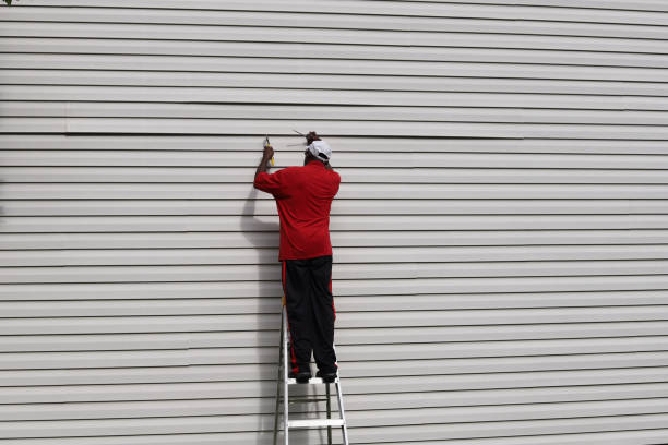 Best Steel Siding Installation  in Hollywood, FL